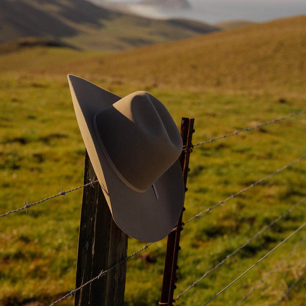 Chase 4X Hat Stone - Image 9