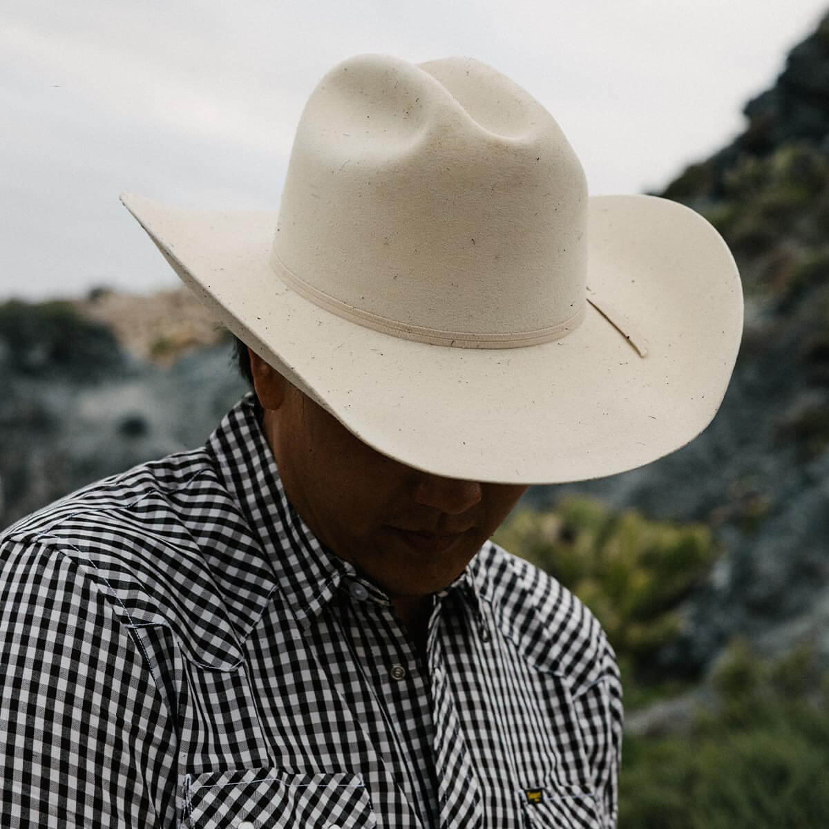 Longhorn 10X Hat Belly - Image 10