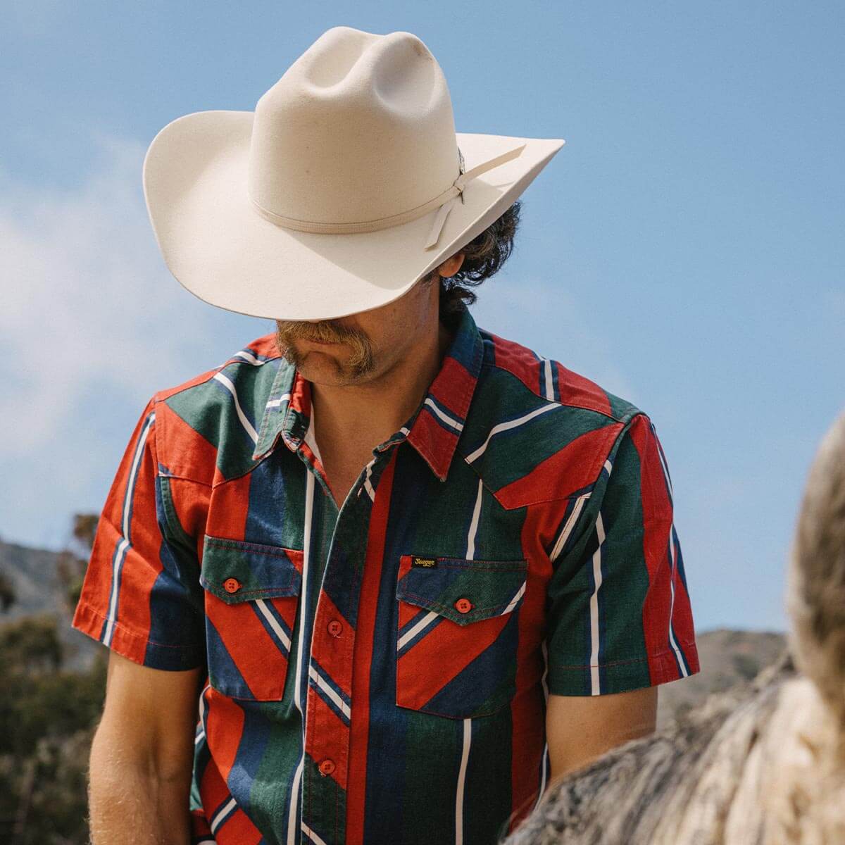 Longhorn 10X Hat Belly - Image 2