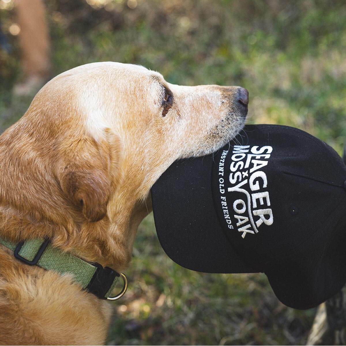 Seager x Mossy Oak I.O.F. Snapback Black - Image 3